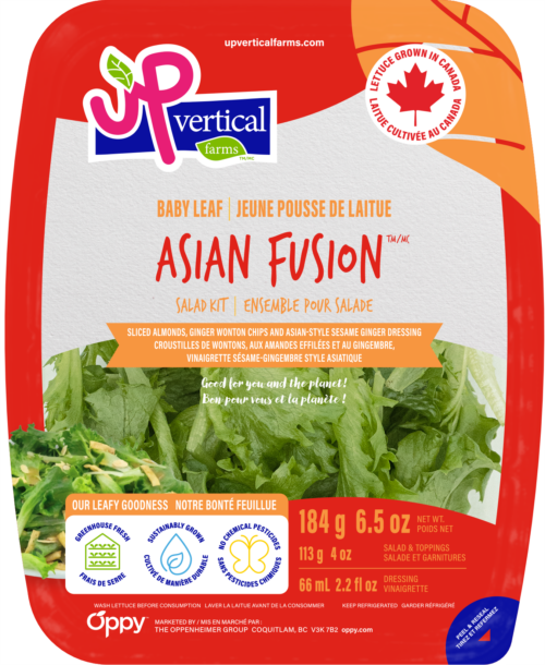 Asian Fusion salad kit