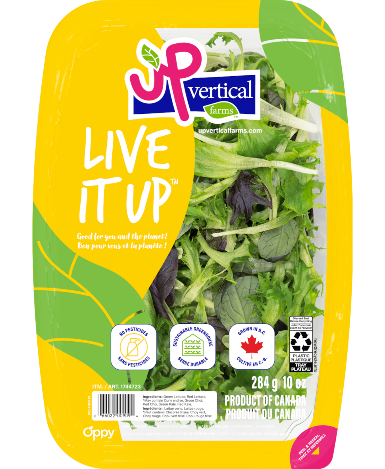 Live It Up salad kit in a clear plastic container with label facing the user