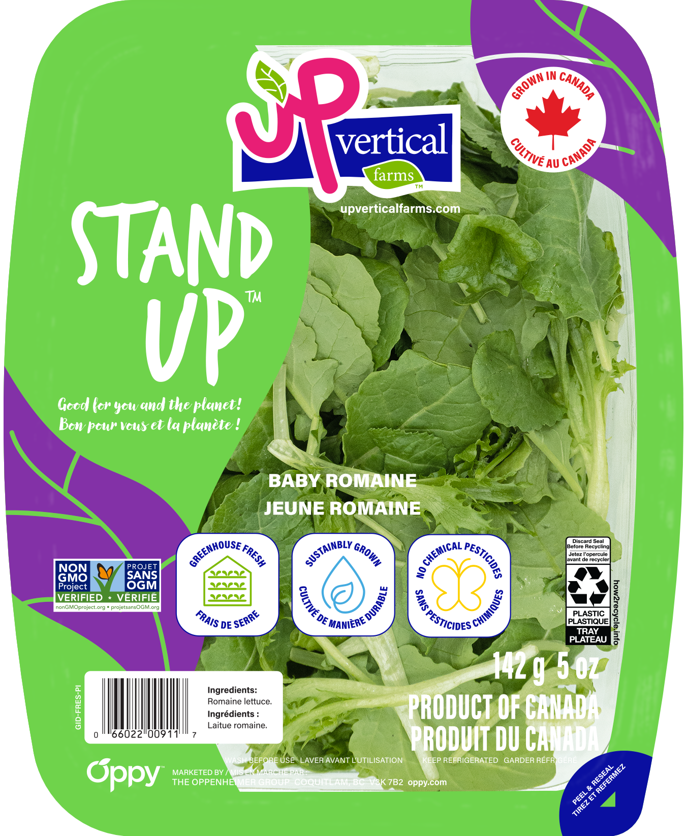 Stand Up salad kit in a clear container with the label facing the user