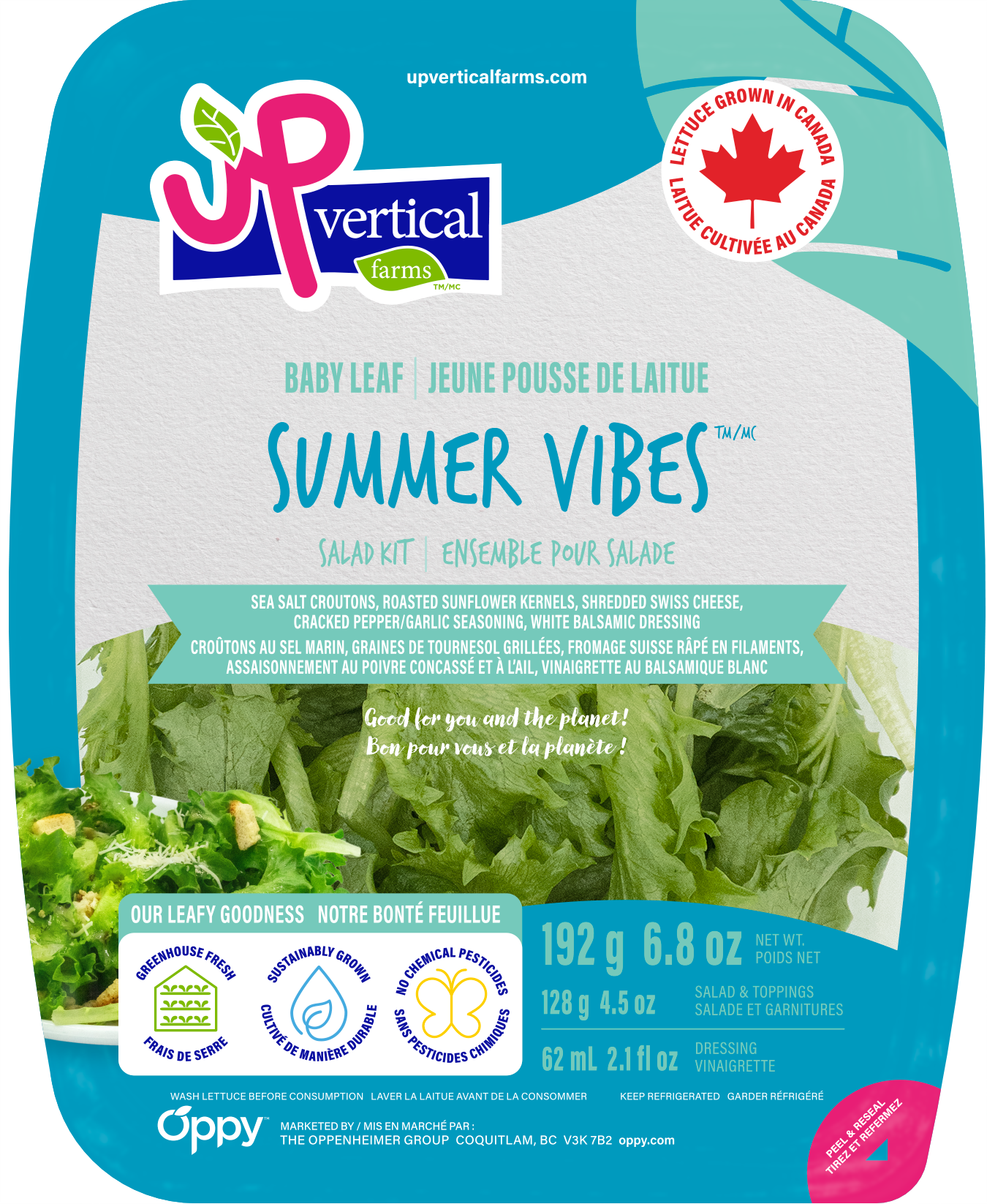 Summer Vibes salad kit